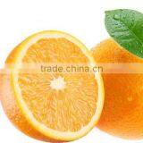 Cast Aluminum Lemon Squeezer Citrus Juicer Juice Maker Aluminum thumbnail-5