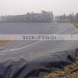 Grey Color 200g/sqm pe Canvas Tarpaulin Roll for Truck/boat Cover thumbnail-4