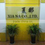 Shaoxing Keqiao Xiana Trading Co., Ltd. company overview - view 2 thumbnail