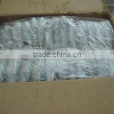 Indo Pacific Mackerel ( Short Body Mackerel) thumbnail-4