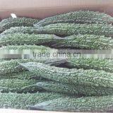 Bitter Gaurd (Momordica Charantia ) thumbnail-1