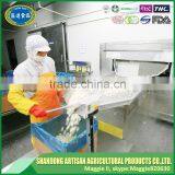 Factory Direct Sell Iqf Garlic Segment Garlic Clove Popular in Eruopean Market thumbnail-4