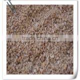 2014 Broken Kernels thumbnail-1