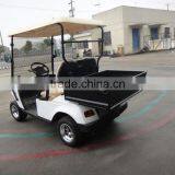 Two Seats Electric Golf Cart With Steel or Aluminum Cargo Box thumbnail-4