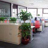 Fuzhou Golden Moral Imp & Exp Co., Ltd. company overview - view 1 thumbnail