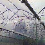 Poly Film Tomato Greenhouse thumbnail-3