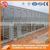 Walk in Greenhouse Plastic/greenhouse Steel Frame thumbnail-6