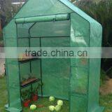 PE Cover Walkin Greenhouse thumbnail-1