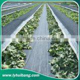 105G/M2 Weed Mats / PP Woven Fabrics in Small Rolls thumbnail-3
