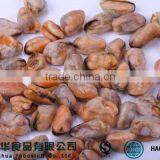 Penang Seafood Frozen Mussel Freezer for Seafood thumbnail-1