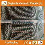 China Trade Assurance Pad and Fan Greenhouse Cooling Systems for Poultry Farm and Greenhouse thumbnail-6