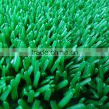 Environmental Protection Gold- Rush Grass thumbnail-2