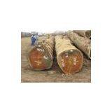 Iroko Lumber , Bubinga Lumber , Teak Lumber,bubinga, Mahugany,wenge,zingana,,tali,azobe,sipon,iroko,sappeli,dossies and Square and Round Logs thumbnail-1