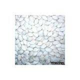 Sell Pumpkin Seeds thumbnail-1