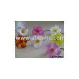 Plumeria Head Craft thumbnail-1