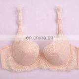 Factory Price TOP Design Mesh Mature Ladies Sexy Nude Lace Bra