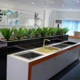 Dongguan Jiemei Electrical Appliance Co.,Ltd company overview - view 3 thumbnail