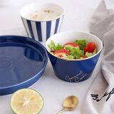 Nordic Blue White Stripes Ceramic Tableware Set Western Food Plate Bowls Breakfast Dish Salad Bowl Rice Bowl Dishes thumbnail-2