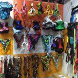 Pet Collar Leash for Dogs or Cats thumbnail-4