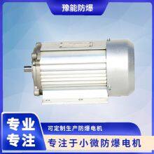 YBJY63 Motors for fuel dispensers