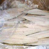 IQF Spanish Mackerel Fillet,Skin on ,Cutted