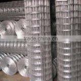 High Quality & Hot Sale!! Galvanized Welded Wire Mesh(factory)