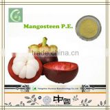 Hot Selling 10%~90% Alpha Mangostin Mangosteen Extract Powder