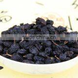 Chinese Black Currant Raisin Xinjiang Raisin With QS Standard thumbnail-5