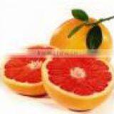 Grapefruit Essential Oil thumbnail-1