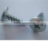 Self -tapping Screw