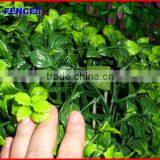 2013 Garden Supplies PVC Fence New Building Material Waterproof Wall Coating thumbnail-1