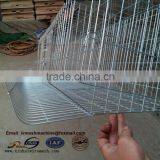 Zimbabwe Market Popular Poultry Cage Layer Chicken Cage for Sale thumbnail-1