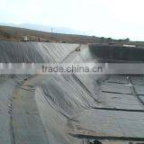 Waterproof HDPE Pond Liner in Geomembrane, Fish Pond Liner Price