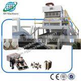 Micronesia Disposable Trays Machine