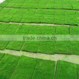 Artificial Moss Square