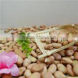 High Quality Dry Broad Beans / Faba Beans / Fava Beans Seed for Cannery thumbnail-1