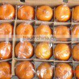 Fresh Mandarin Orange With Factory Wholesales Price thumbnail-6