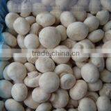 IQF Champignon Wholes thumbnail-1