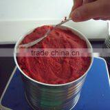 canned tomato paste tomato paste tomato paste production line tin packing