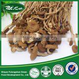 Dried Agrocybe Aegerit/ Agrocybe Cylindracea/ Tea Tree Mushroom/ Chashugu/ Edible Fungus