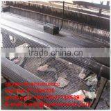 Trommel Screen Wire Screen Mesh/Crimped Wire Mesh Screen thumbnail-6