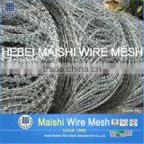 450mm~1000mm Flat Panel Razor Coil