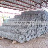 Hexagonal Wire Mesh
