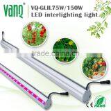 Vanqled Indoor Greenhouse With Grow Lights&led Strip for Plants&led Lights Agriculture 75w High PPFD More Harvest,red/blue Grow thumbnail-1