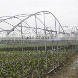 High Quality Tunnel Greenhouse With the Type of Plastic Tunnel thumbnail-4