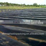 PE Agricultural Black Mulch Film With Holes thumbnail-5