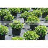 Anti uv Plastic Eco Friendly Waterproof Fabric Ground Cover thumbnail-4