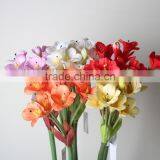 Natural Clivia Fabric Clivia Decorative Clivia Artificial Clivia Flower for Wholesale thumbnail-4