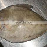 Black Pomfert Whole Round thumbnail-1