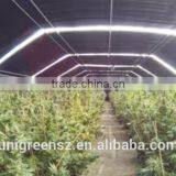 Top Quality Material Light Deprivation Blackout Greenhouse thumbnail-2